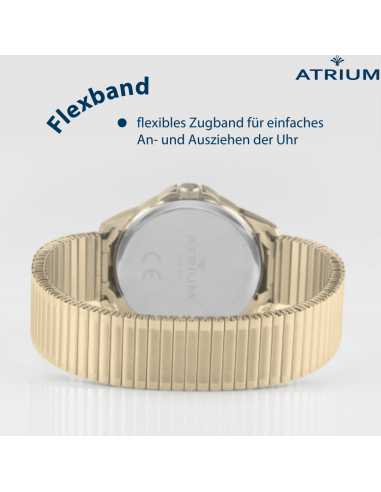 ATRIUM Armbanduhr - Herren - Vergoldet - Zugband aus  Edelstahl (19,5cm) - 5 Bar - Klar - Quartz - A48-60